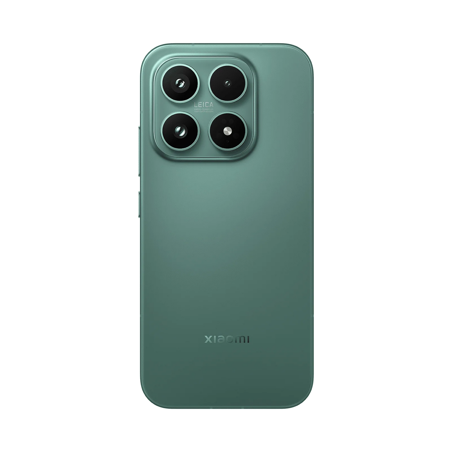#Verde